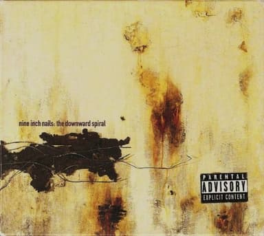 The Downward Spiral artwork